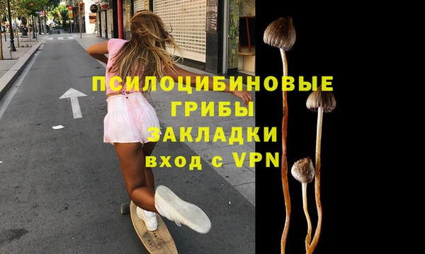 спайс Карпинск