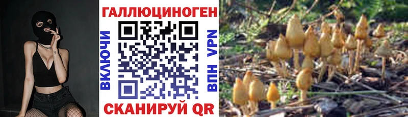 Галлюциногенные грибы GOLDEN TEACHER  Купить закладки  Верхняя Пышма 
